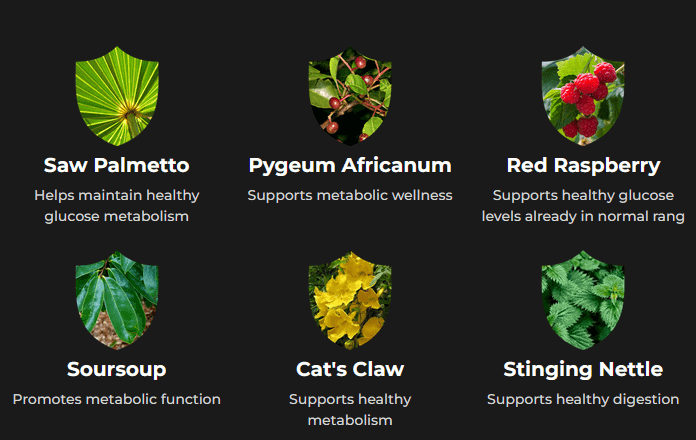 Prosta-Defend-Ingredients 